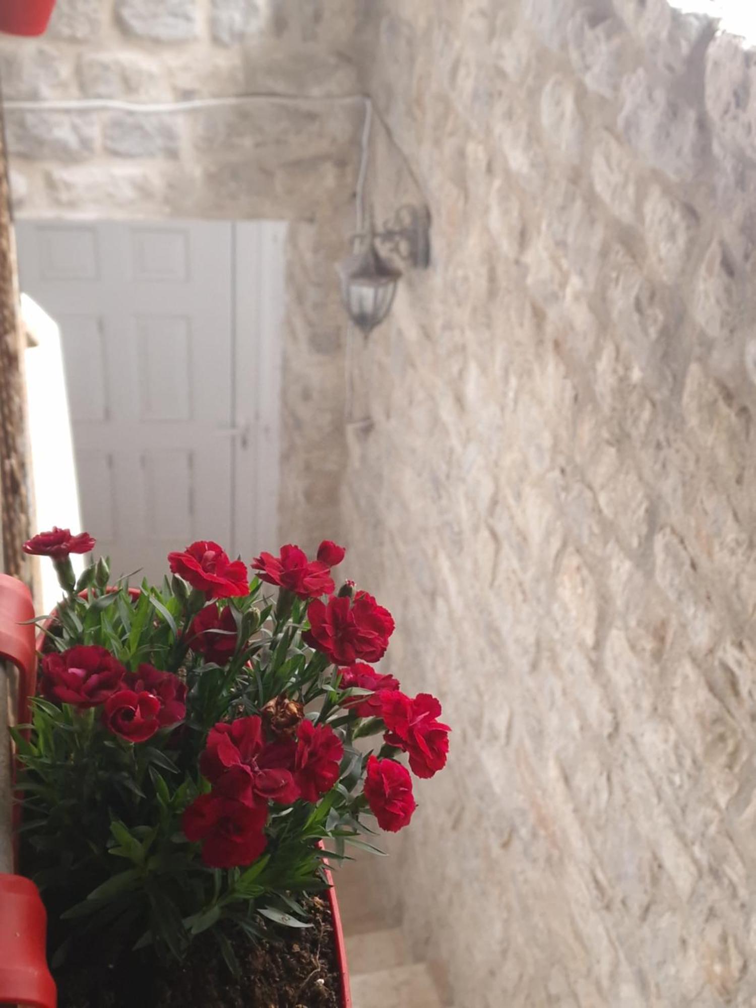 Rooms Dana Old Town Budva Exterior foto